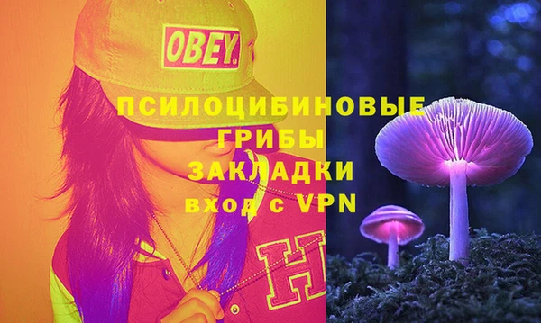 круглые Абаза