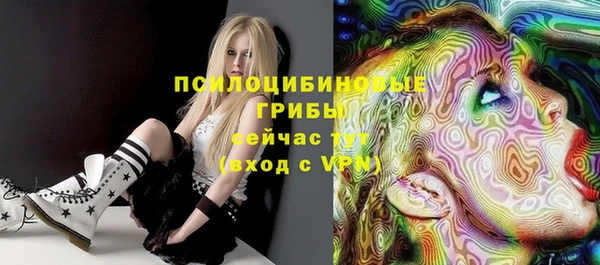 ГАЛЛЮЦИНОГЕННЫЕ ГРИБЫ Абдулино
