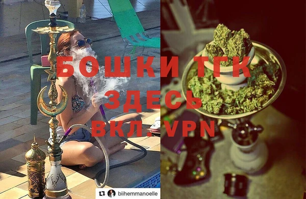 крисы Теберда