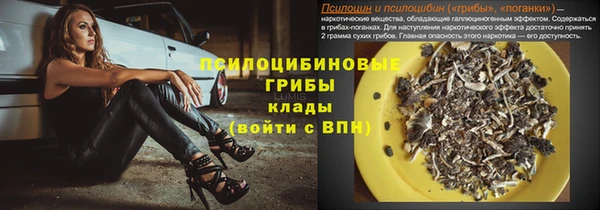 прущая мука Татарск